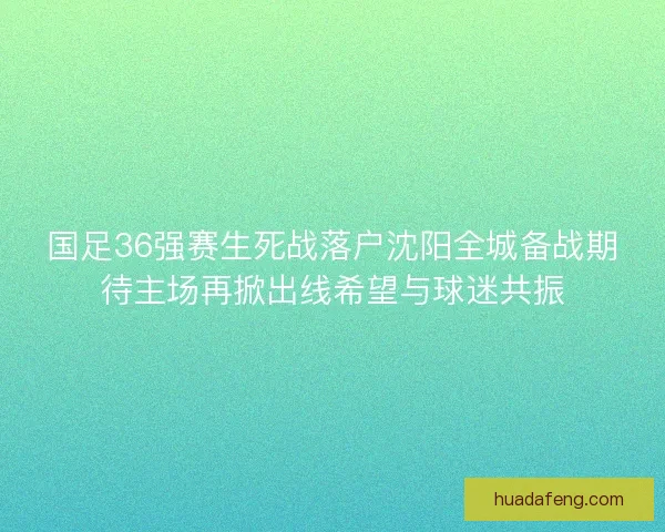 国足36强赛生死战落户沈阳全城备战期待主场再掀出线希望与球迷共振