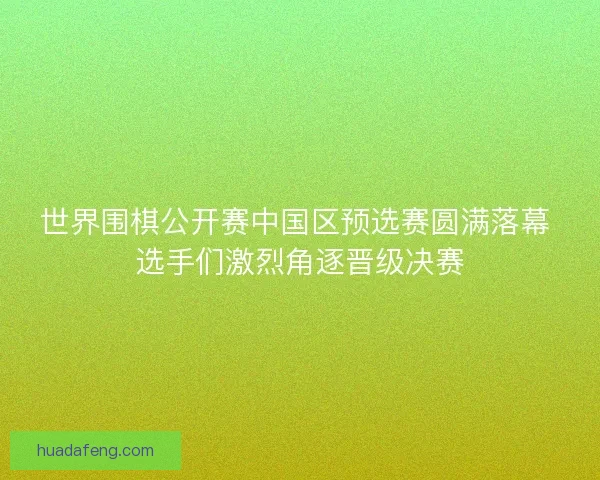 世界围棋公开赛中国区预选赛圆满落幕 选手们激烈角逐晋级决赛