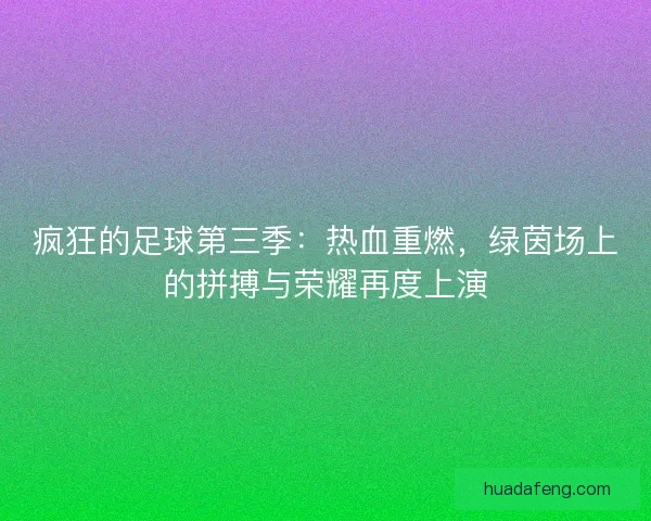 疯狂的足球第三季：热血重燃，绿茵场上的拼搏与荣耀再度上演